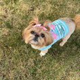 Load image into Gallery viewer, Parisian Pet 'Flamingos'  Dog Shirt – Lightweight & Breathable Summer Outfit for Small Dogs & Cats, Light Blue and White Stripes
