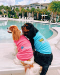 Load image into Gallery viewer, Parisian Pet 'Princess' Playful Dog Shirt – Comfortable Small Dog Shirt for Dogs & Cats, Pink
