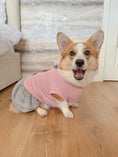 Load image into Gallery viewer, Parisian Pet 'Winter Bows Dress' Dog & Cat Shirt – Elegant Holiday Pet Dress – Pink & Grey-Valentine's Day
