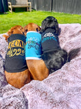 Load image into Gallery viewer, Parisian Pet 'Little Wingman' Winged Dog Shirt – Cool Adventure-Themed Shirt for Dogs & Cats, Black
