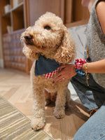 Park Day Denim Gingham Print Handmade Scrunchie 