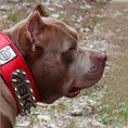 Load image into Gallery viewer, The ABKC Collar
