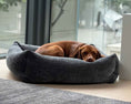 Load image into Gallery viewer, Bowsers Franklin Orthopedic Dog Bed in aquarius
