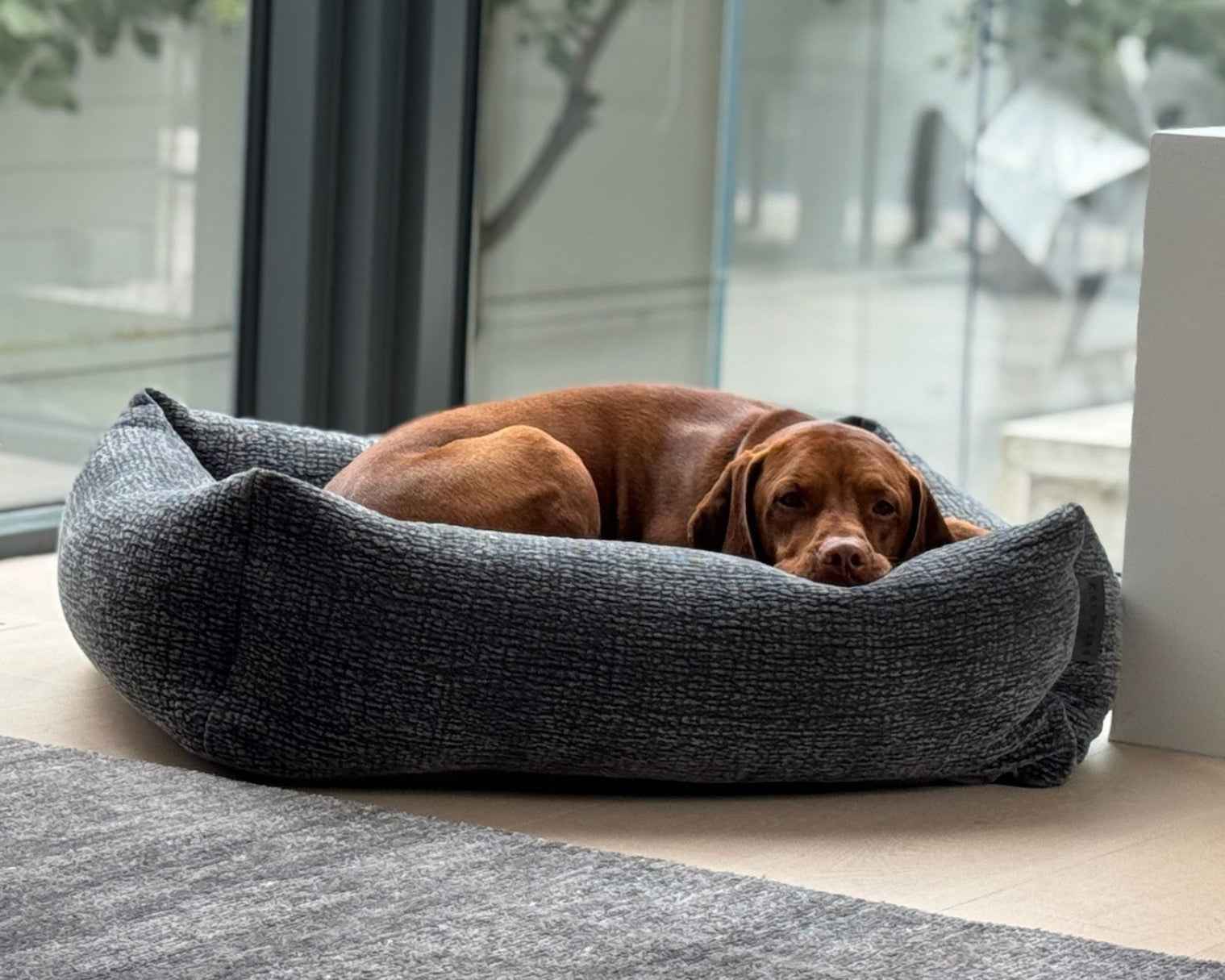 Bowsers Franklin Orthopedic Dog Bed in aquarius
