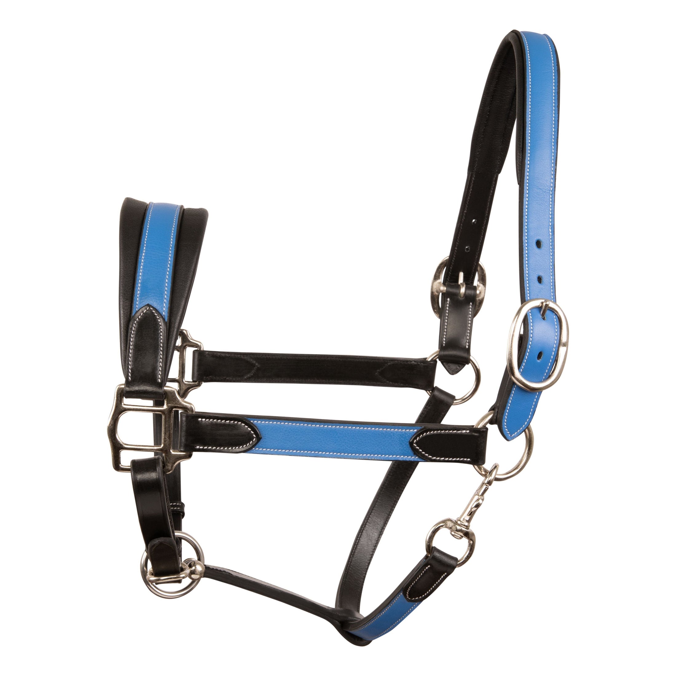 ExionPro Duo-Tone Leather Halter - Blue