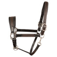 Load image into Gallery viewer, ExionPro Duo-Tone Leather Halter - Havana
