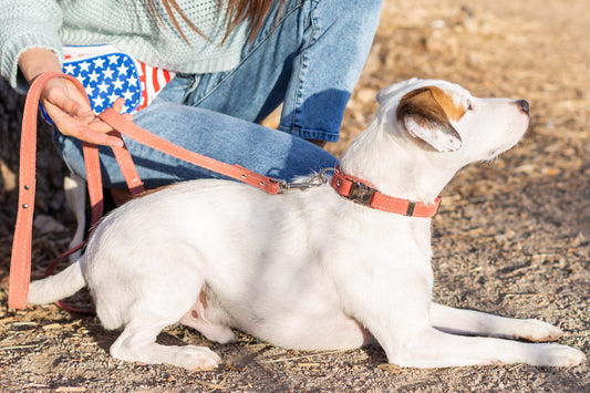 Traditional Coral Reef Leather Leash - image 2
