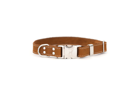 Quick-Release Style Leather Collar and Leash Set - image 6
