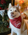 Load image into Gallery viewer, Christmas, Christmas Dog Bandana | Luxe Flannel | Cookie Tester | Holiday Bandana | Plaid Bandana
