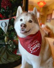 Christmas, Christmas Dog Bandana | Luxe Flannel | Cookie Tester | Holiday Bandana | Plaid Bandana