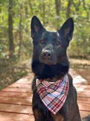 Flannel Dog Bandana, Plaid Bandana, Fall Bandana, High Quality Fabric