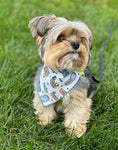 Load image into Gallery viewer, Dog Bandana | Holiday Bandana | Winter | Ski | Snow Board - Southlake Paws
