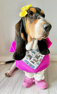 Load image into Gallery viewer, Dog Bandana | Holiday Bandana | Winter | Ski | Snow Board
