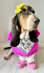 Dog Bandana | Holiday Bandana | Winter | Ski | Snow Board