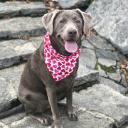 Valentine Bandana | Valentines Day Bandana | Red Hearts Valentine Dog Bandana, Pink Heart Valentine