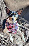 Load image into Gallery viewer, Valentine Bandana | Valentines Day Bandana | Valentine Dog Bandana with Donuts - Southlake Paws
