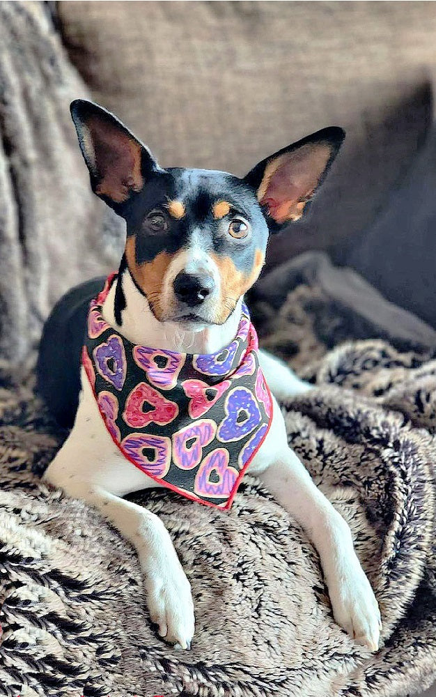 Valentine Bandana | Valentines Day Bandana | Valentine Dog Bandana with Donuts - Southlake Paws