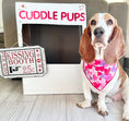 Load image into Gallery viewer, Valentine Bandana | Valentines Day Bandana | Valentine Hearts - Southlake Paws
