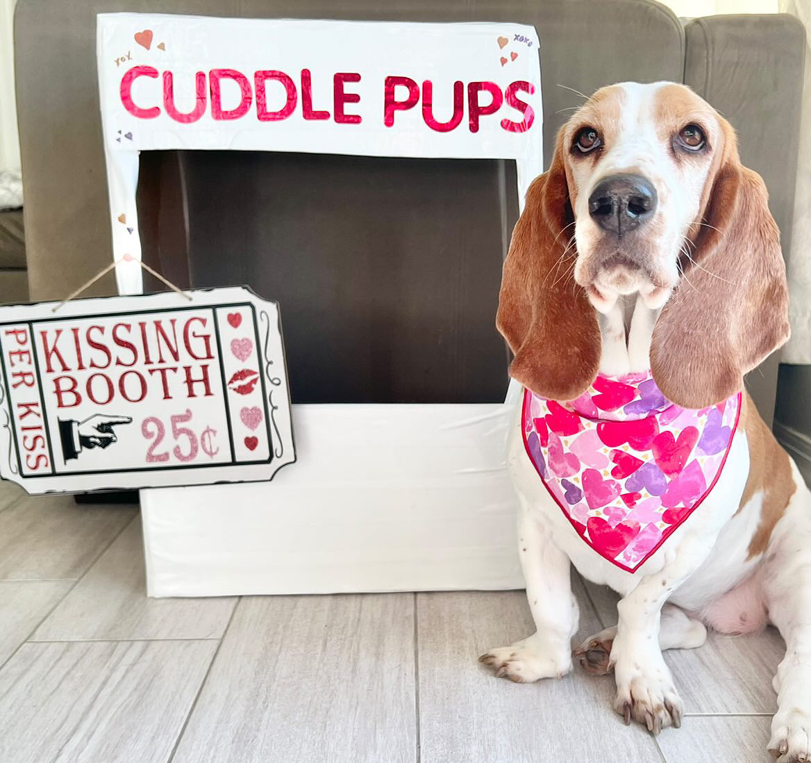 Valentine Bandana | Valentines Day Bandana | Valentine Hearts - Southlake Paws