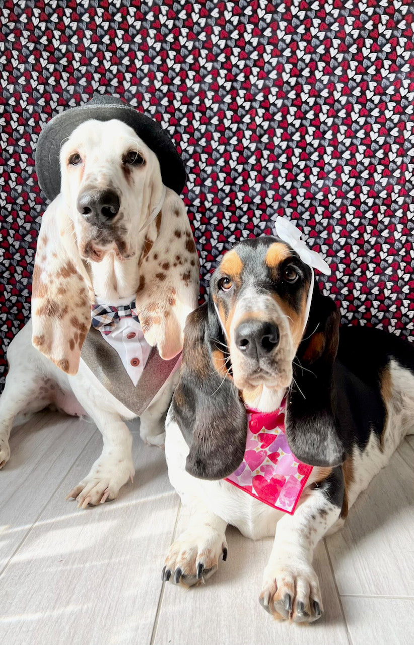Valentine Bandana | Valentines Day Bandana | Valentine Hearts