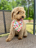 Load image into Gallery viewer, Ice Cream and Peaches, Spring Bandana, Flower Bandana, Summer Bandana - Southlake Paws
