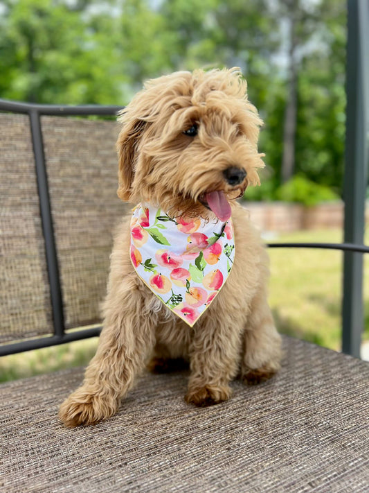 Ice Cream and Peaches, Spring Bandana, Flower Bandana, Summer Bandana - Southlake Paws