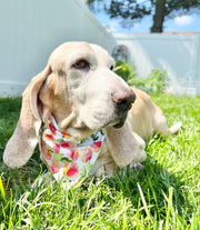 Ice Cream and Peaches, Spring Bandana, Flower Bandana, Summer Bandana