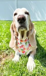 Ice Cream and Peaches, Spring Bandana, Flower Bandana, Summer Bandana