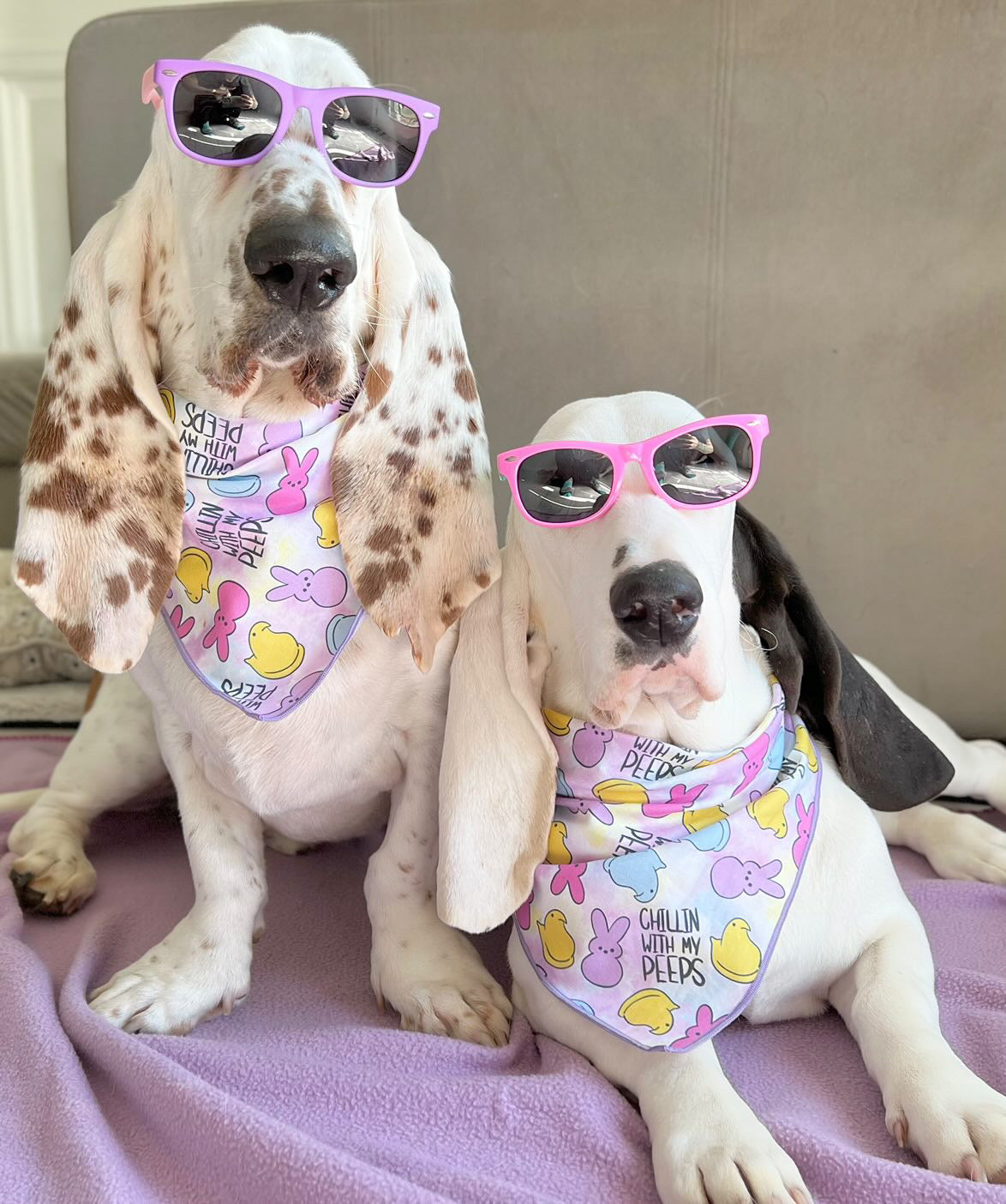 Easter Bandana, Easter Peeps, Bunny, Marshmallow - Southlake Paws