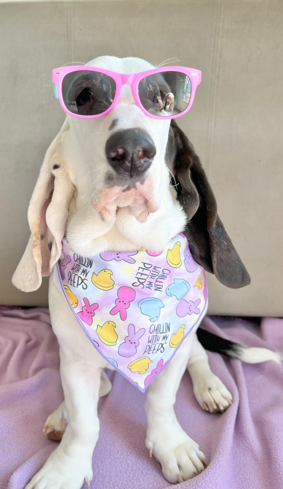 Easter Bandana, Easter Peeps, Bunny, Marshmallow