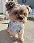 Load image into Gallery viewer, Easter Bandana, Spring Bandana, Dog Bandana, Donut, Bunny - Southlake Paws
