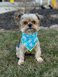 Load image into Gallery viewer, Easter, Easter Bandana, Easter Bunny, Spring Bandana
