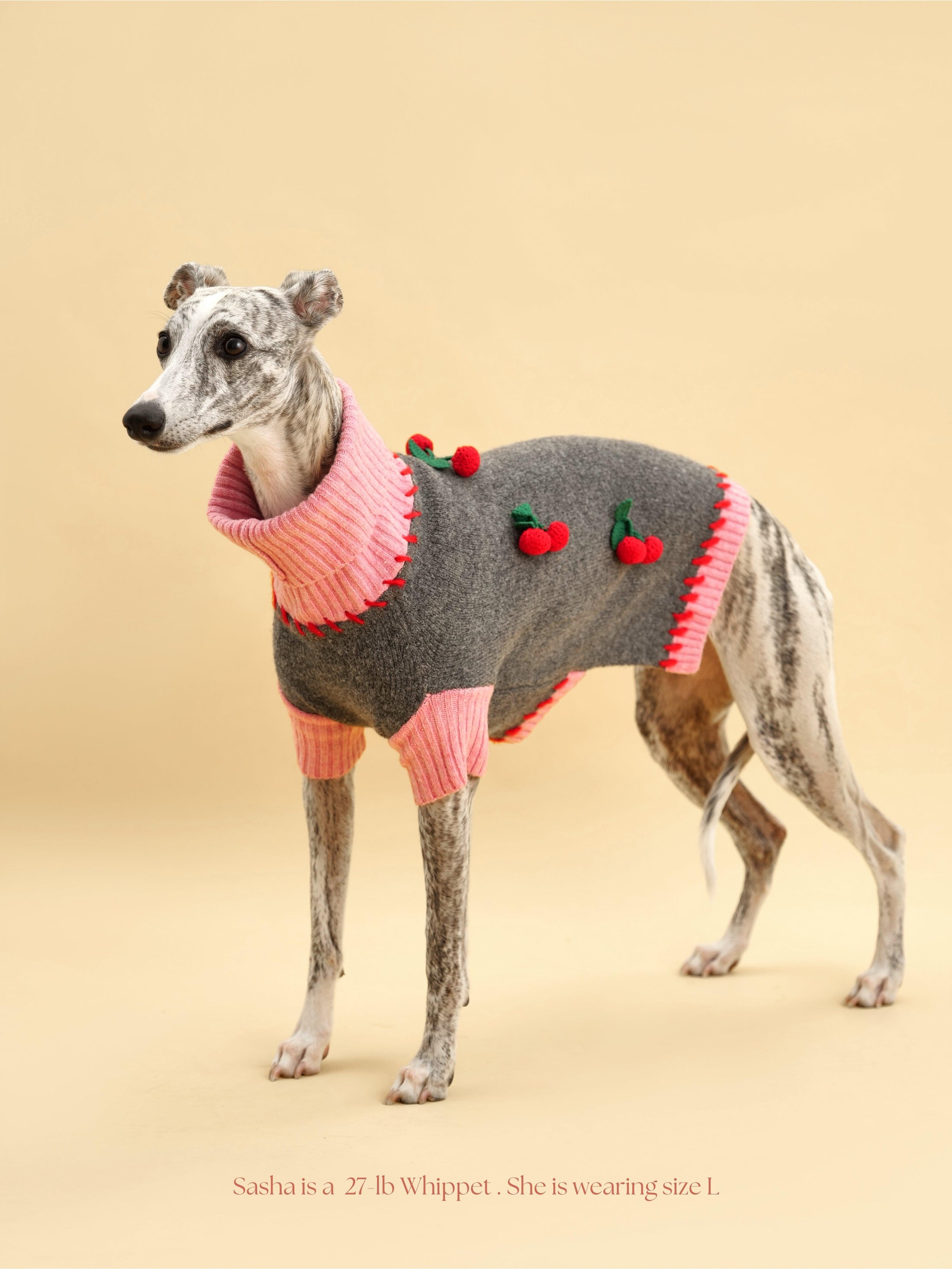 Cherry Kiss Sweater 