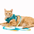 Load image into Gallery viewer, Joey Cat Harness & Leash Set
