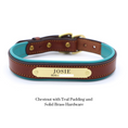 Load image into Gallery viewer, Padded Dog Collar - image 9
