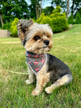 Load image into Gallery viewer, Dad | Dog Dad Bandana | Fathers Day | Love Dad | Dog Bandana
