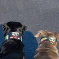 Load image into Gallery viewer, The Joker Limited Collar
