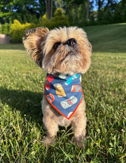 Beer Can Dog Bandana | Food Dog Tie Bandana
