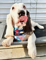Beer Can Dog Bandana | Food Dog Tie Bandana