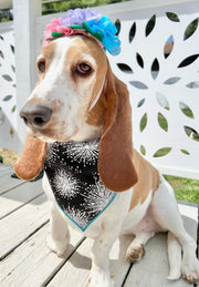 Spring Bandana, Flower Bandana, Tie Dog Bandana | Summer Bandana | Wishies