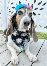 Spring Bandana, Flower Bandana, Tie Dog Bandana | Summer Bandana | Wishies