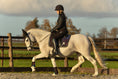 Load image into Gallery viewer, Ultraviolet Saddle Pad
