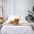 Load image into Gallery viewer, PupProtector™ Waterproof Bed Runner - White with Brown Accents

