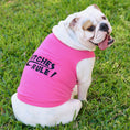 Load image into Gallery viewer, Parisian Pet 'Bitches Rule' Dog & Cat T-Shirt – Funny Embroidered Cotton Apparel, Comfortable & Stylish – Pink
