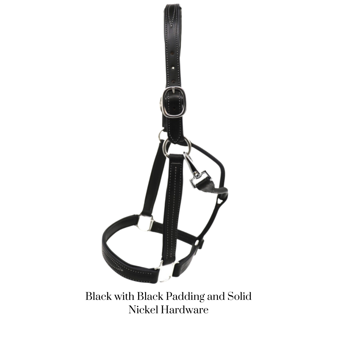 GHC Padded Halter