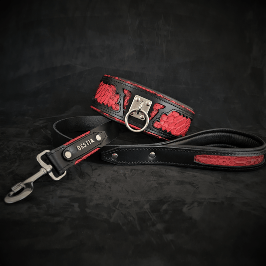 The ''Red Dragon'' leash