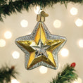 Load image into Gallery viewer, Radiant Star Ornament - Southlake Paws
