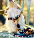 Load image into Gallery viewer, BOW TIE - WILDEST ONE
