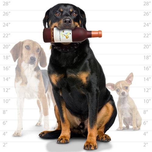Silly Squeakers®  Wine Bottle - Grrrobert Slobbery