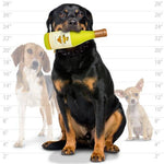 Silly Squeakers®  Wine Bottle - Kennel Relaxin